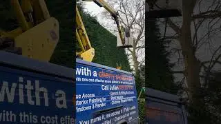 Cherry picker hire for hedges / tree cut