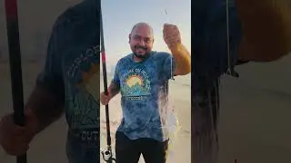 📍Al Zorah Beach Ajman, UAE.              #fishing #fishingvideo #fishinglife #beachlife #uae