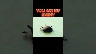 You are my enemy Titanic edition #subscribe #viral #Ships #OceanLiners ￼￼￼