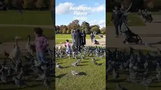 Kensington Palace. Garden In London UK #dinaradica  #viral #london