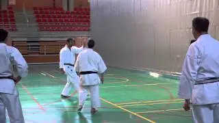 Interview With Shihann Chris Thompson
