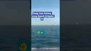 Deep Sea fishing Cocoa Beach Orlando Fl #florida #cocoabeach #fishingtrip #trucklyfe #truckesvlogs