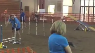 July 10, 2016 Canine performance events standard level 2 non-qualifying