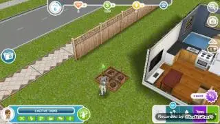 Beginner's Guide for sims