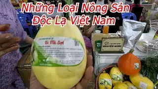 Quang Trip - Những Loại Nông Sản Độc Lạ Việt Nam
