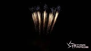 0201326 - Pyrofessional BETA