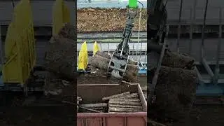 #crane #logloader