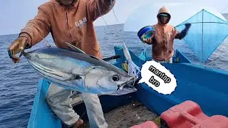 MANCING IKAN CAKALANG menggunakan teknik layang-layang