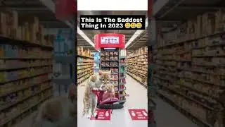 This is the saddest thing in 2023 🥲🥲🥲