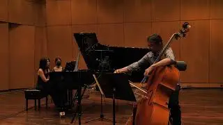 Hertl, Frantisek - Double bass Sonata, Arnis/Papapetropoulou