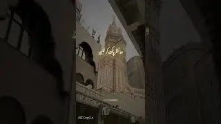 All be Happy in halal life