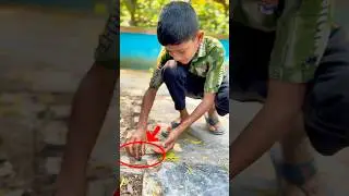 outdoors skills: Saved the life of baby bird #survival #outdoors #forest #shorts #birds