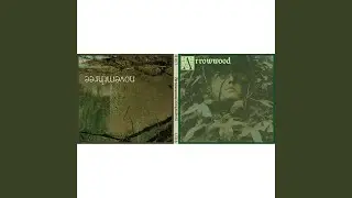 To Breathe in the Trees