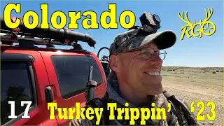 Colorado Rio Grande Turkey Hunt | Turkey Trippin' 2023 | RGO #439