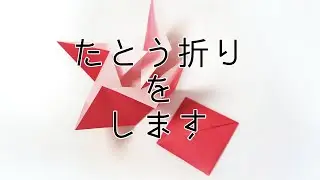 お正月のポチ袋に最適！！たとう折り