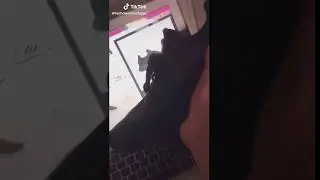 throwback to the OG tik tok ( 2018 ) ( tik tok meme )