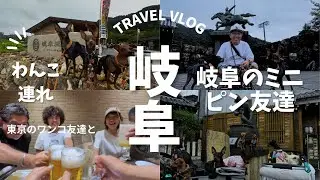 【愛犬と】ミニピン仲間と岐阜の旅！岐阜公園散策！正法寺大仏殿に愛犬と巡る