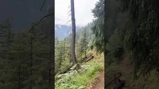 #naginsheru #shorts #viralvideo #likesharesubscribe ​⁠@RKUrbanVlogs #beautiful #kishtwardistrict