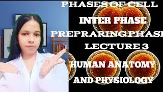 Cell Division(Detail Study Of Inter Phase /prepraring Phase) LECTURE 4 Human Anatomy And physiology 