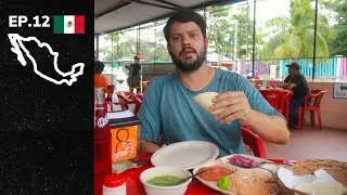 O MELHOR FRANGO ASSADO NA BRASA DO M&Eacute;XICO - PLAYA DEL CARMEN - EP.12