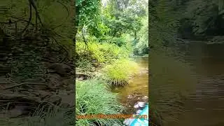 Westfield River Paddle in Woronoco