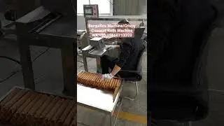 Barquillos Machine/Crispy Coconut Rolls Machine/ Chinese Egg Roll Machine