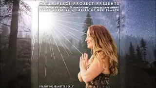 FEB 5 Full Moon Water Meditation & Consciousness Experiment Featuring Jeanette Sealy
