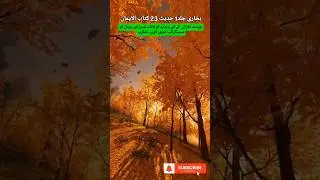 Bukhari 23 Book of Emaan | Hadith | Islamic short #youtube #youtubeshorts #islamicshorts #islamic
