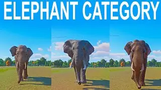 Elephant Category Speed Race in Planet Zoo included Bornean Elephant, Indian Elephant