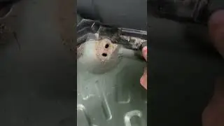 Honda Element: Remove interior rear panels