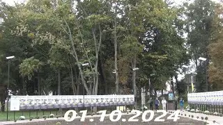 Алея Героїв Цуманської громади