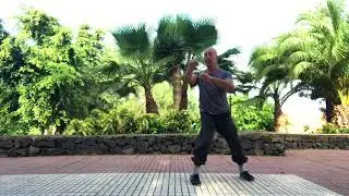 Eight fists. Master Igor Turchin.