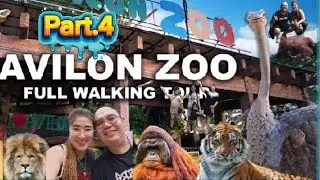 Avilon Zoo Part 4. Tara Mga Idol Let's Go