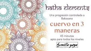 Hatha Yoga 45 minutos - Cuervo en 3 maneras (Bakasana) - progresión a este equilibrio del brazo