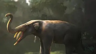 Amebelodontidae: The Shovel Tuskers