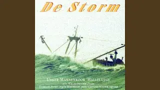 Ik Heb De Vaste Grond Gevonden