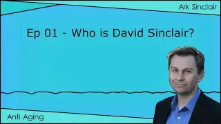 Episode 01 - Who Is David Sinclair?