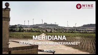 DOMAINE MERIDIANA l BAIGNE PAR LA MEDITERRANEE l MALTE | WINE EXPLORERS