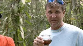 How Vanilla Is Grown