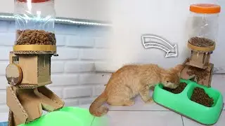 DIY Dispenser Makanan Kucing Otomatis