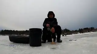 Ice fishing for white perch catch clean and cook