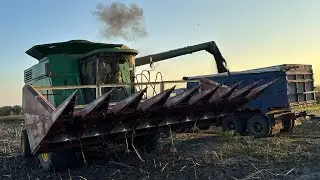 😱Сою продали‼️Грошей повні кармани🤣Жнива соняшника PIONEER P64LE168, ціна ростиме⁉️Реальний урожай❗️