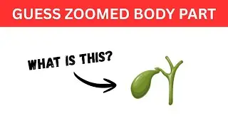 Guess Human Body Parts 🧠 | Fun Guessing Game Challenge