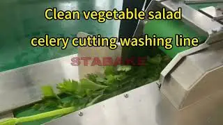 clean vegetable salad celery cutting washing line