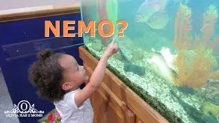 Finding Nemo! - June 8, 2014