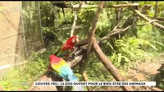 Le zoo de Guyane ouvert le dimanche
