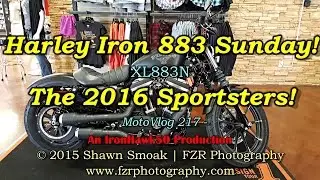 Harley Iron 883 Sunday! - The 2016 Sportsters! | XL883N | MotoVlog 217