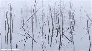 OLHAVA - Frozen Bloom (FULL ALBUM) Atmospheric Black Metal [Russia]