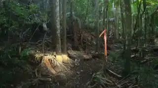 coffs harbour enduro loop