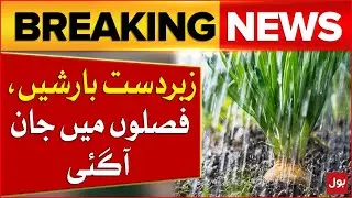 Heavy Rainfall | Crops Got New Life | PMD Prediction | Weather Updates | Breaking News
